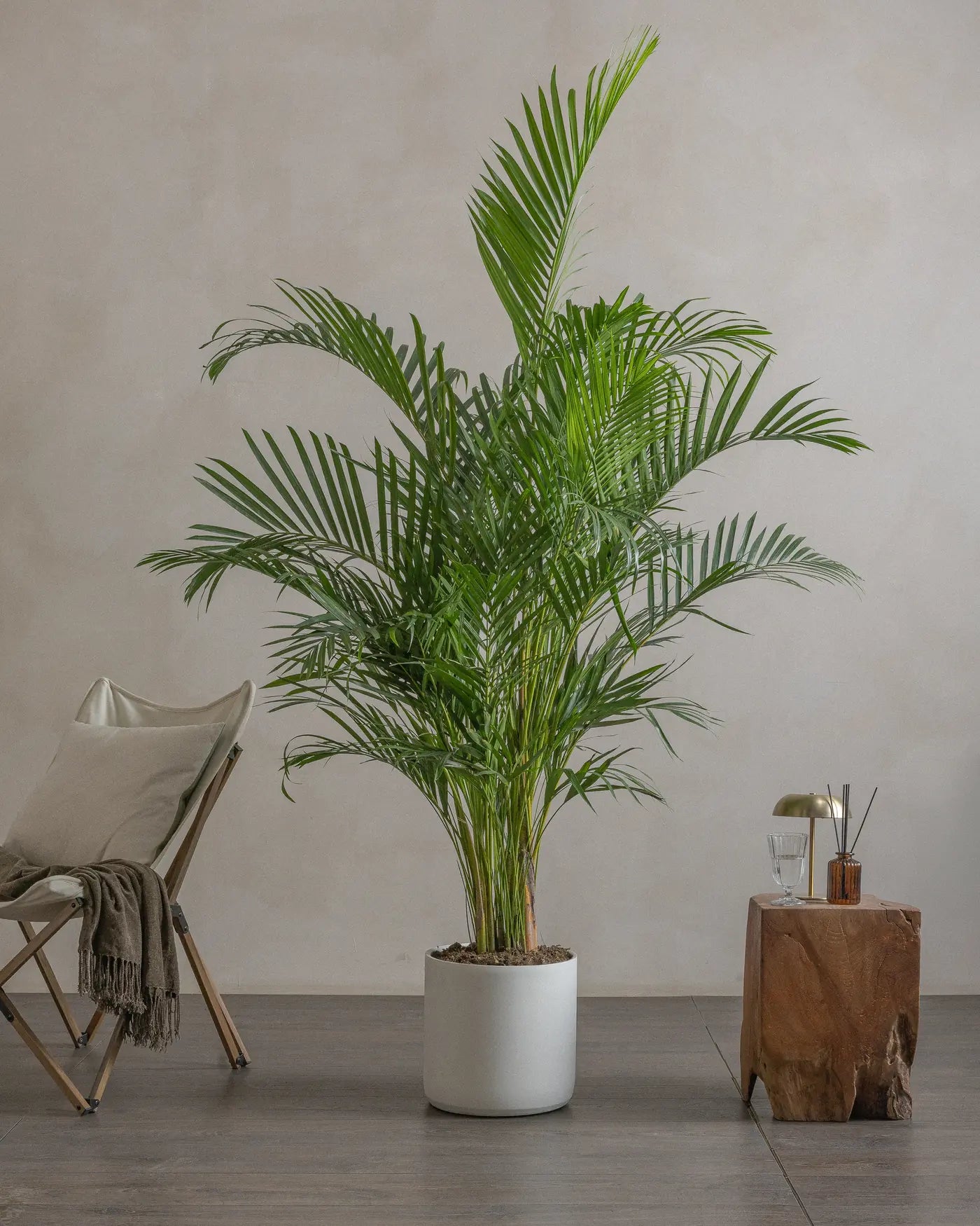 170cm / Circle / Chalk White