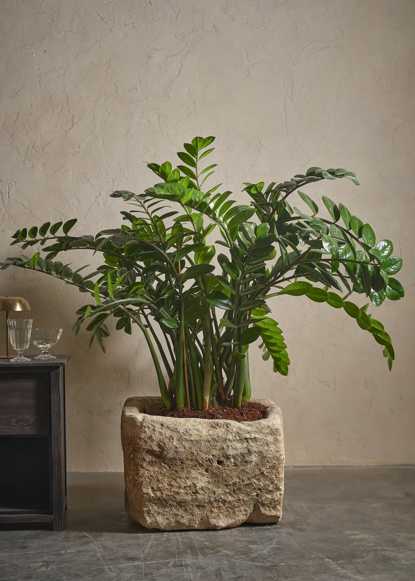 Potted anthurium plant beside a tall red gift box with a ribbon.